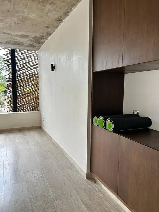图卢姆New Luxury Ph With Private Terrace & Plunge Pool公寓 公寓 图卢姆