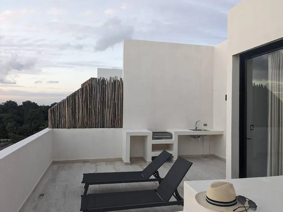 图卢姆New Luxury Ph With Private Terrace & Plunge Pool公寓 0*, 图卢姆